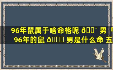 96年鼠属于啥命格呢 🐴 男「96年的鼠 🐅 男是什么命 五行属什么」